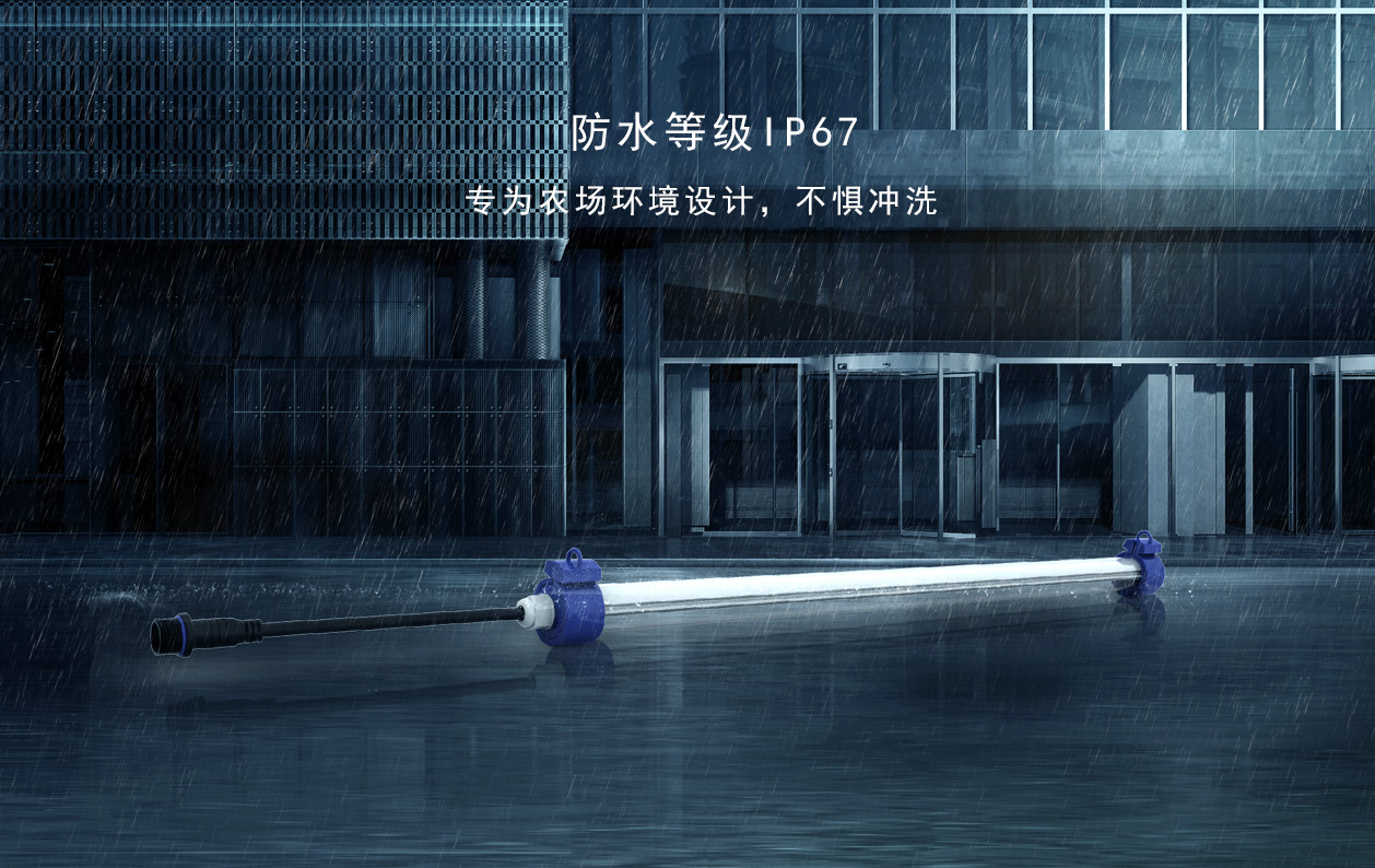 T10（養(yǎng)豬）詳情-4.jpg